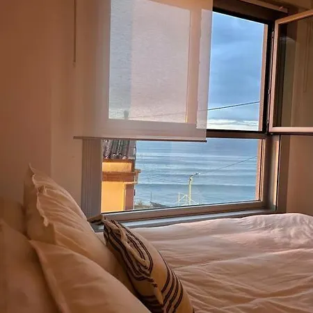 Apartment Blue Malpica